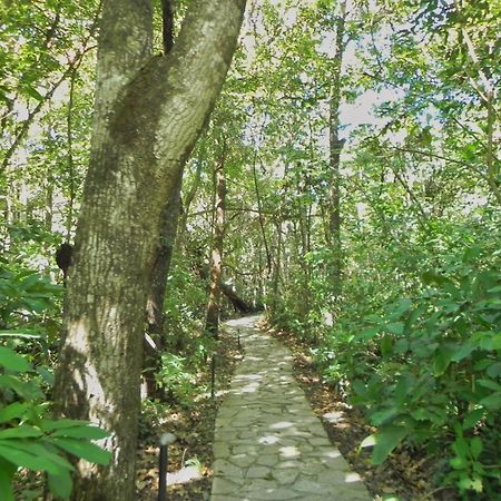 Pousada Eden - Conforto, Imersao E Natureza São Jorge Buitenkant foto