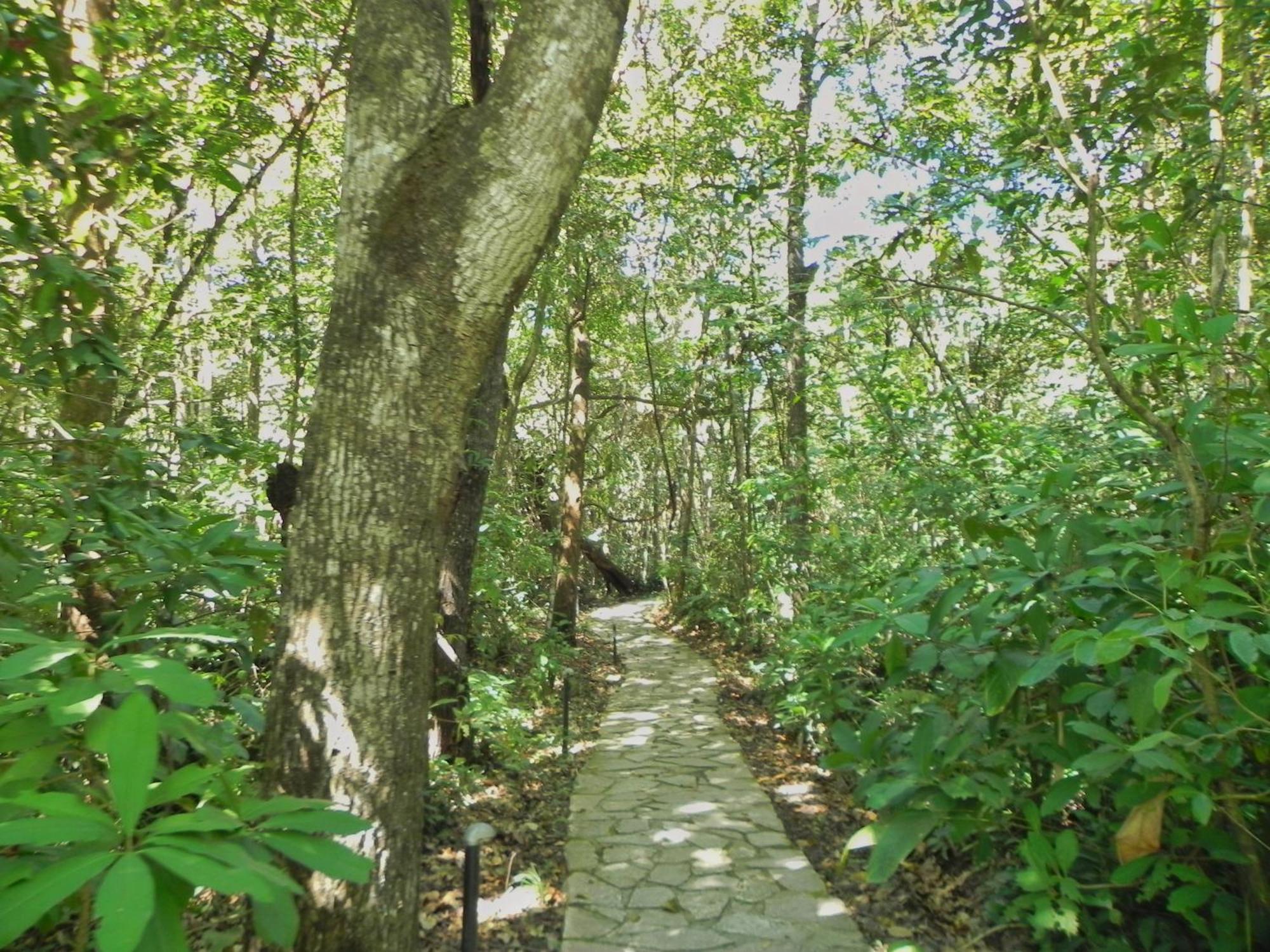 Pousada Eden - Conforto, Imersao E Natureza São Jorge Buitenkant foto