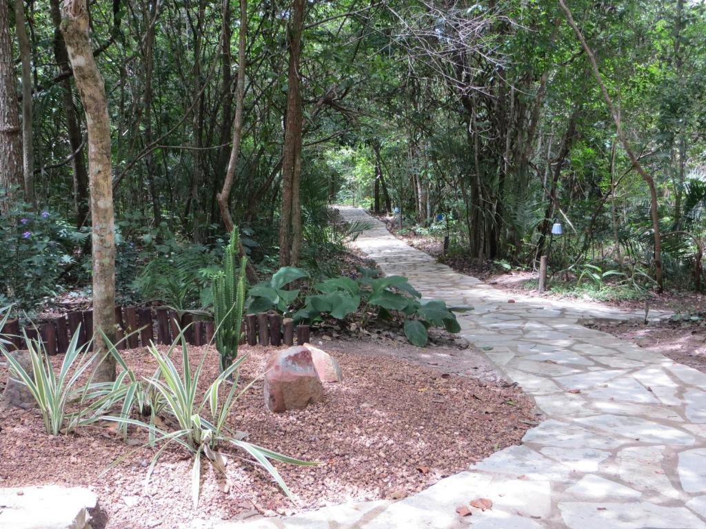 Pousada Eden - Conforto, Imersao E Natureza São Jorge Buitenkant foto
