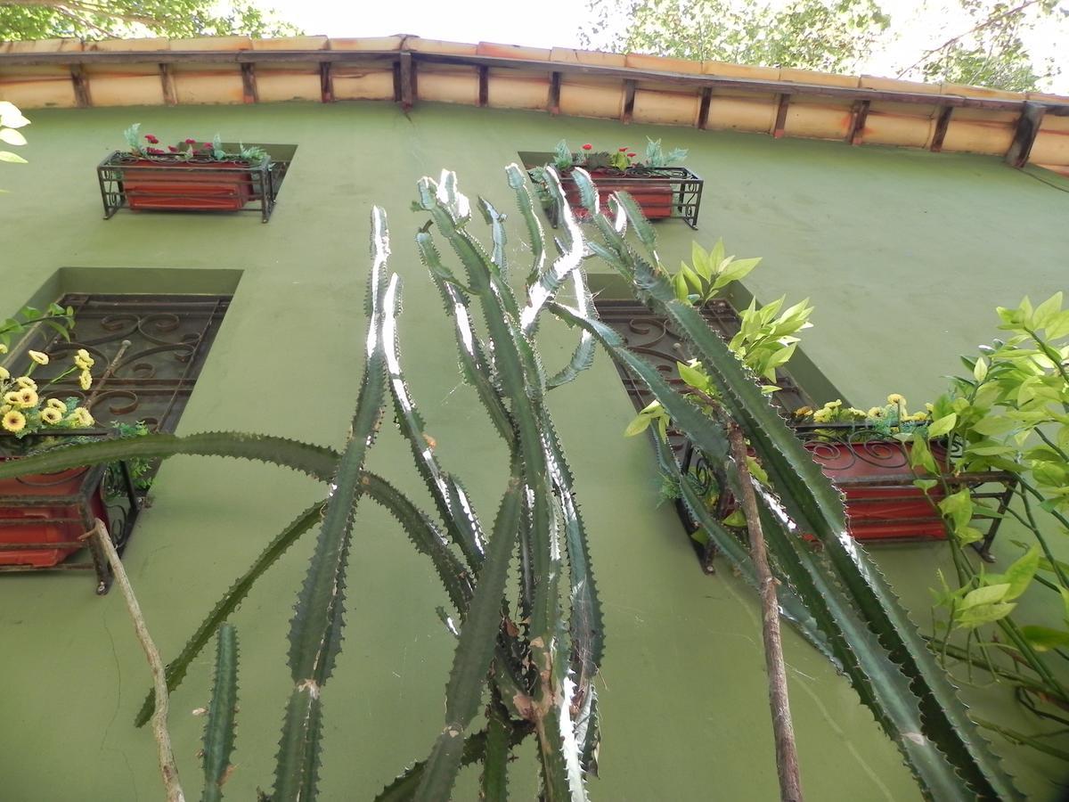 Pousada Eden - Conforto, Imersao E Natureza São Jorge Buitenkant foto